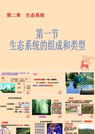 八年级生物下册 第七单元 生物与环境 第二章 生态系统 7.2.1 生态系统的组成和类型课件(新版)冀教版 课件