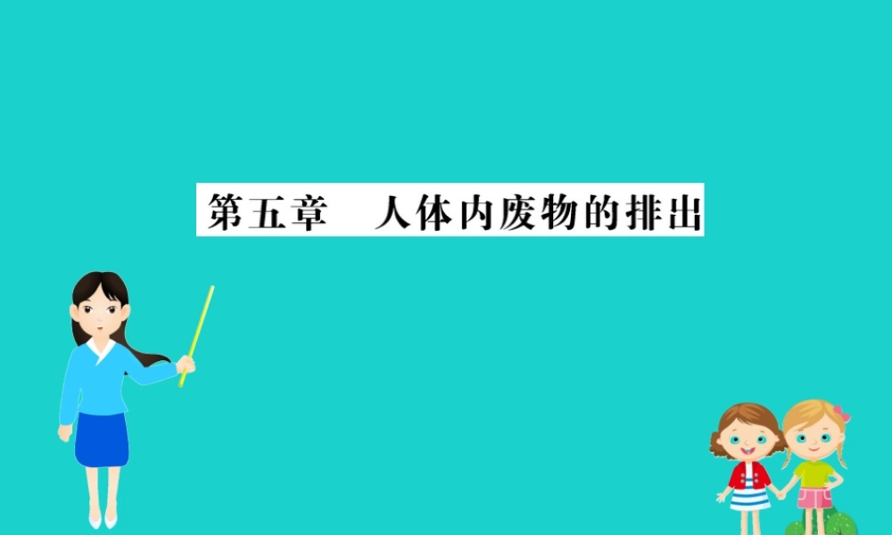 七年级生物下册 4.5 人体内废物的排出习题课件(新版)新人教版 课件