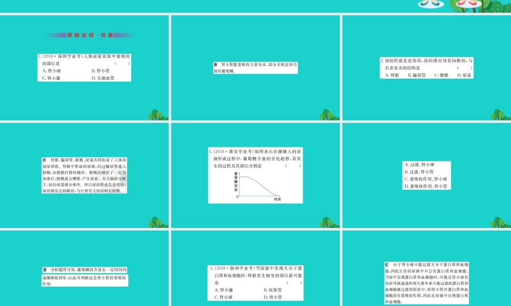 七年级生物下册 4.5 人体内废物的排出习题课件(新版)新人教版 课件