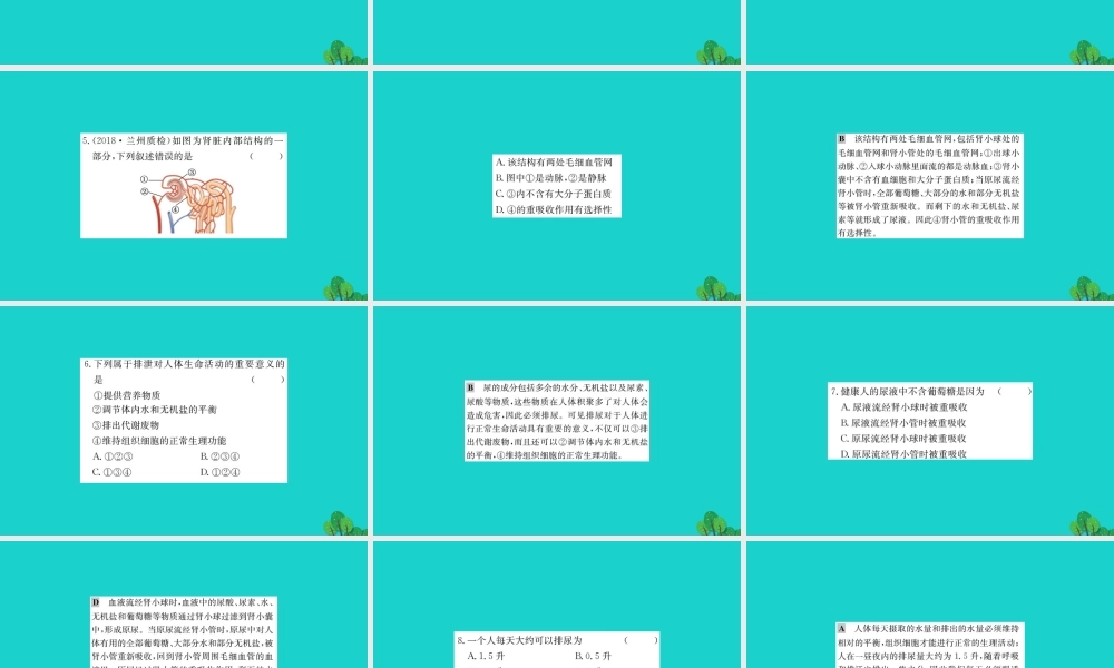 七年级生物下册 4.5 人体内废物的排出习题课件(新版)新人教版 课件