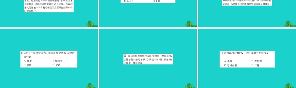 七年级生物下册 4.5 人体内废物的排出习题课件(新版)新人教版 课件