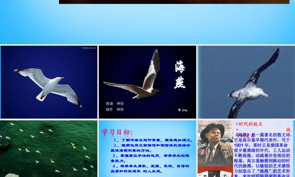中学八年级语文下册 第9课(海燕)课件 新人教版 课件