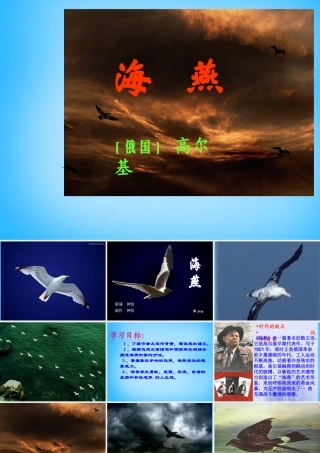 中学八年级语文下册 第9课(海燕)课件 新人教版 课件