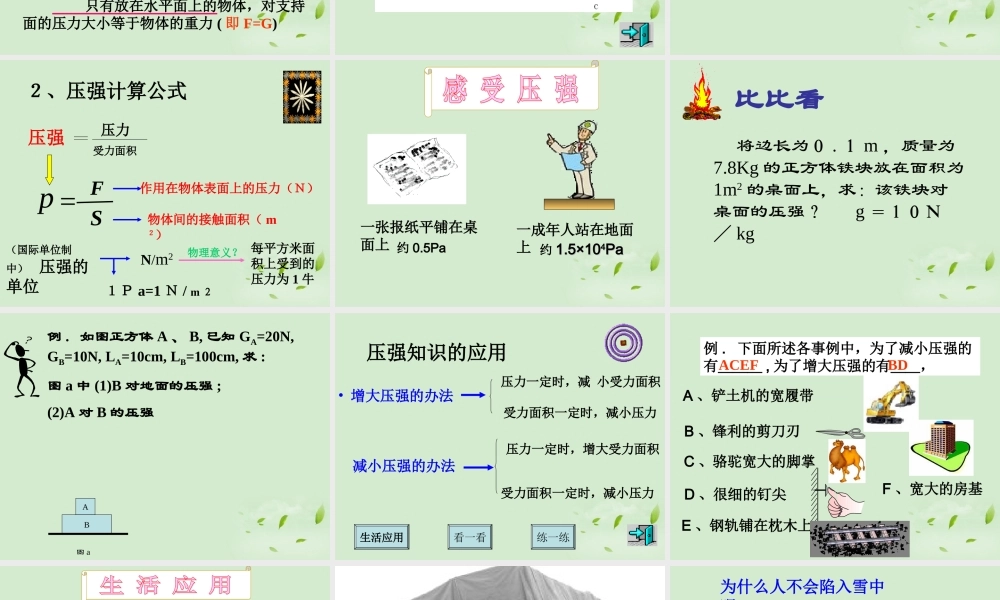 八年级物理 第八章 压强复习课件 沪科版 课件