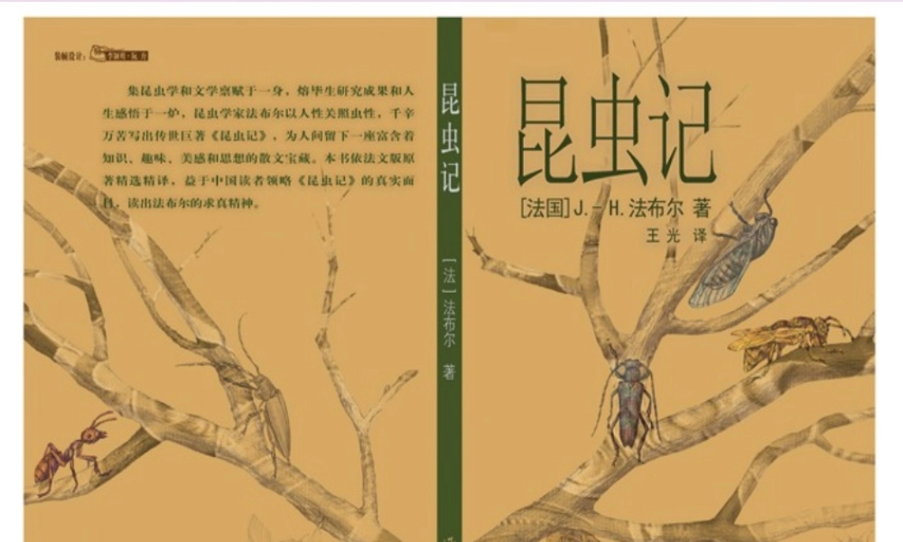 山东省泰安市七年级语文上册 23(绿色蝈蝈)课件 (新版)新人教版 课件