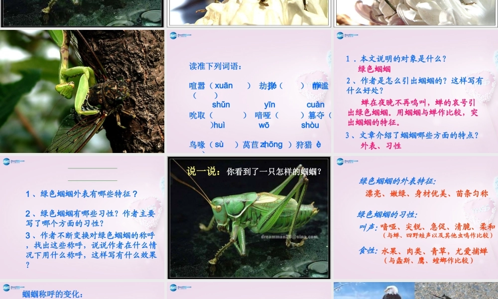 山东省泰安市七年级语文上册 23(绿色蝈蝈)课件 (新版)新人教版 课件