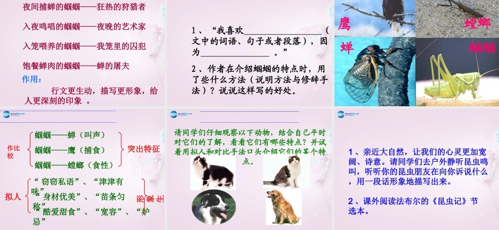 山东省泰安市七年级语文上册 23(绿色蝈蝈)课件 (新版)新人教版 课件