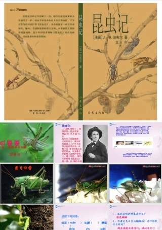 山东省泰安市七年级语文上册 23(绿色蝈蝈)课件 (新版)新人教版 课件