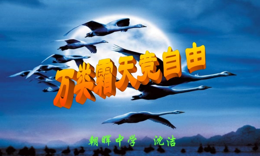 八年级政治人教版竞争合作求双赢-竞争ppt 课件