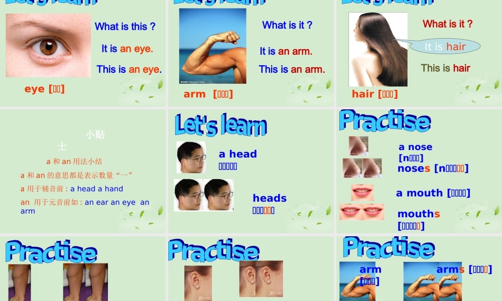 七年级英语上册 Starter Module 2 Unit 2 Please touch your head2课件 外研版 课件