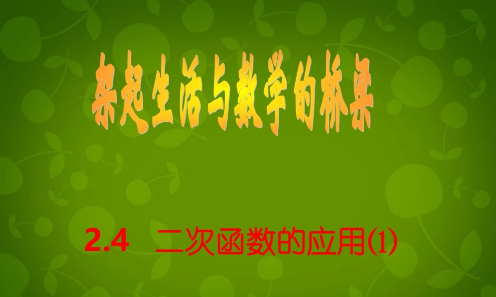 九年级数学上册 24 二次函数的应用课件1 浙教版 课件