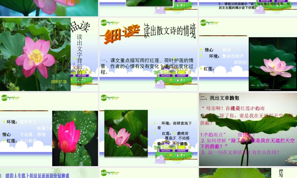 人七年级语文上册(荷叶 母亲)教学课件 人教新课标版 课件