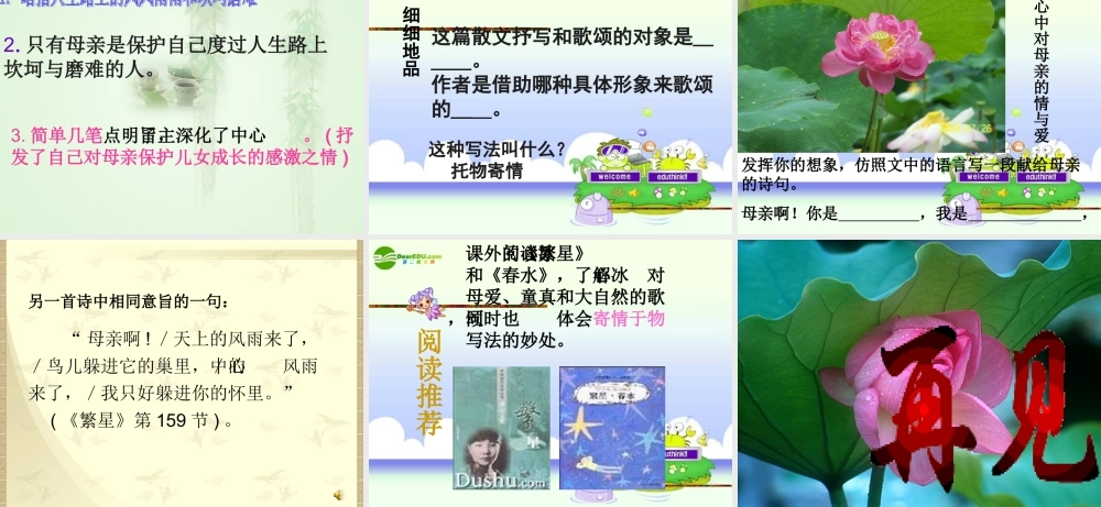 人七年级语文上册(荷叶 母亲)教学课件 人教新课标版 课件