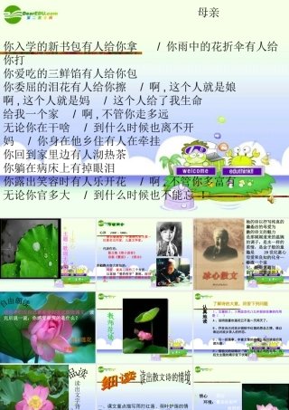 人七年级语文上册(荷叶 母亲)教学课件 人教新课标版 课件