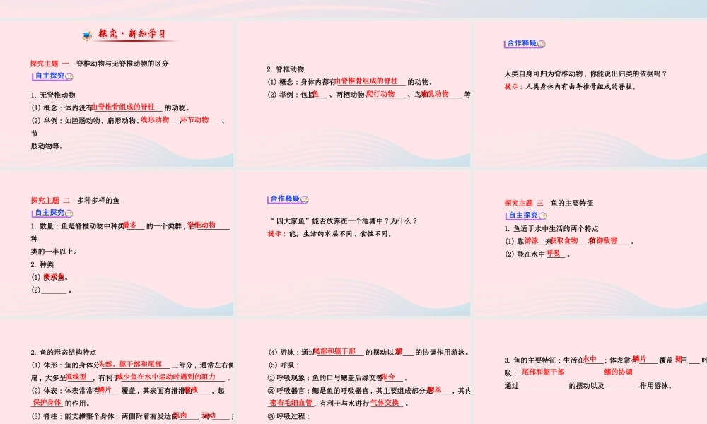 八年级生物上册 第五单元 第一章 第四节 鱼课件 (新版)新人教版 课件