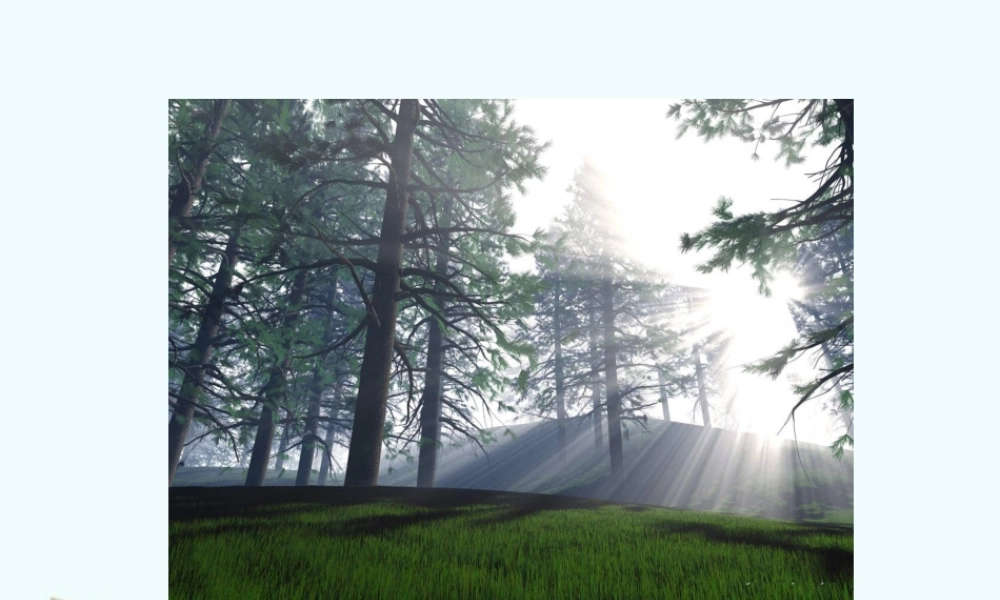 七年级生物上册 第2节生物体的器官、系统 课件 北师大版 课件