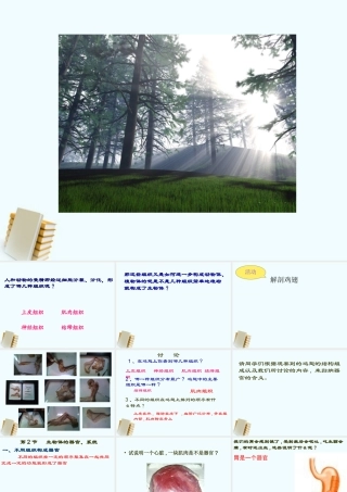 七年级生物上册 第2节生物体的器官、系统 课件 北师大版 课件