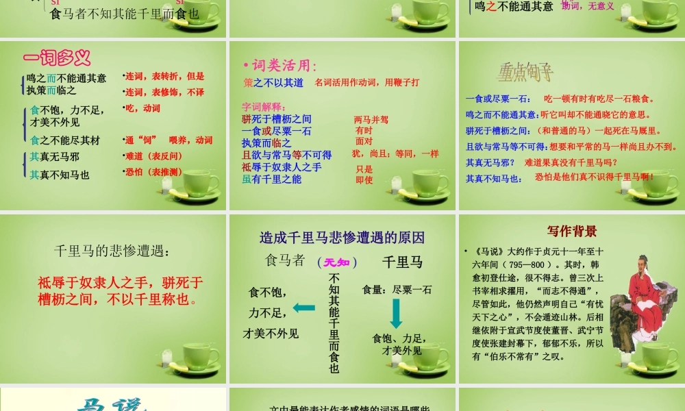 八年级语文下册 第23课(马说)课件 (新版)新人教版 课件