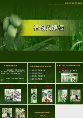 八年级生物新课标人教版植物的生殖3ppt 课件