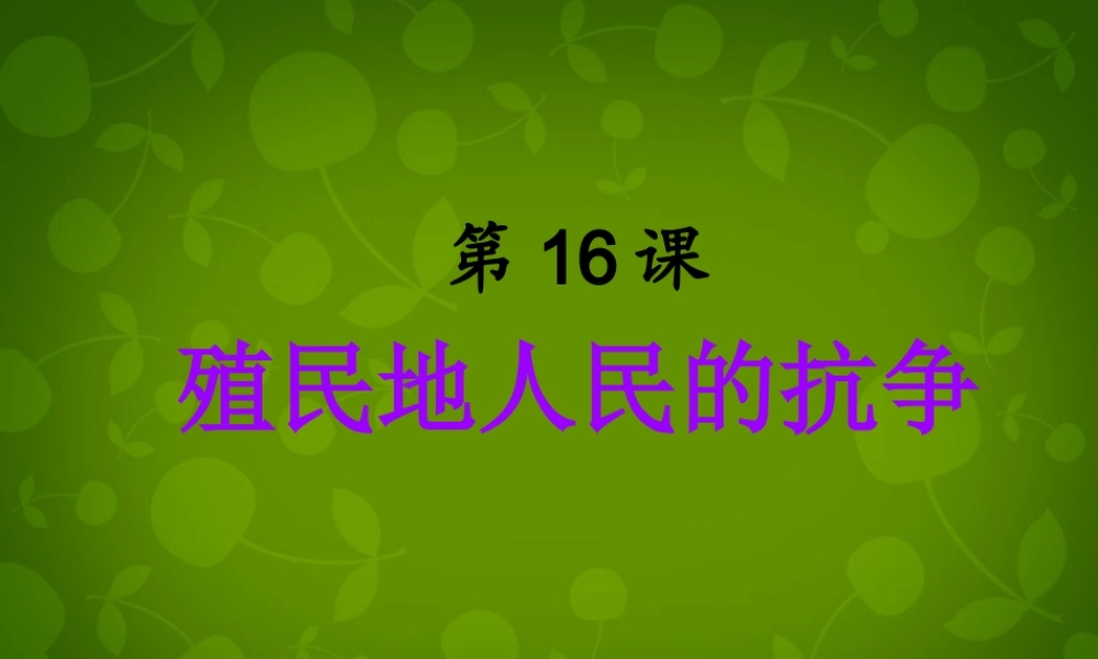 中学九年级历史上册 第16课 殖民地人民的抗争课件 新人教版 课件