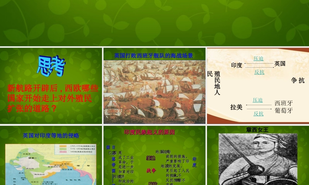 中学九年级历史上册 第16课 殖民地人民的抗争课件 新人教版 课件