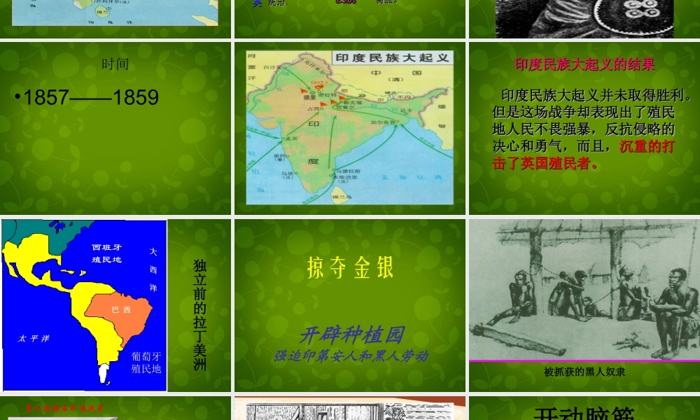 中学九年级历史上册 第16课 殖民地人民的抗争课件 新人教版 课件