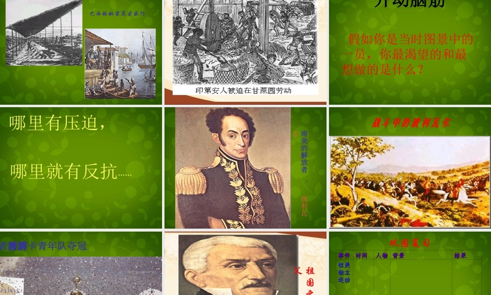 中学九年级历史上册 第16课 殖民地人民的抗争课件 新人教版 课件