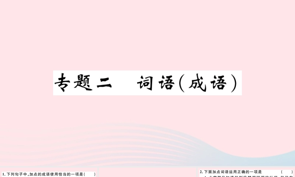文下册 专题二 词语(成语)习题课件 新人教版 课件