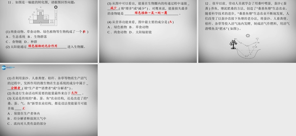 九年级科学下册 242 食物链和食物网习题课件 浙教版 课件
