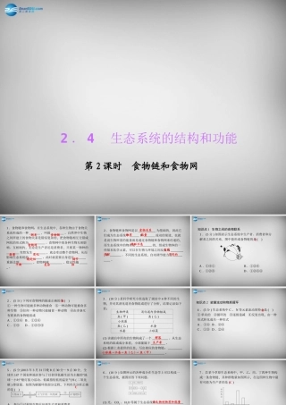 九年级科学下册 242 食物链和食物网习题课件 浙教版 课件