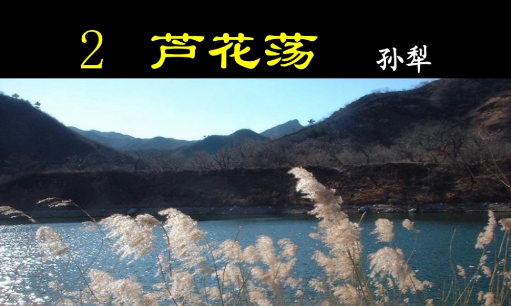 八年级语文上册 芦花荡课件芦花荡课件 新人教版 课件