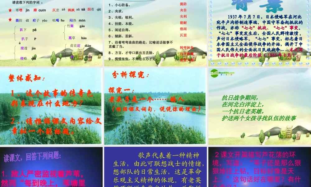 八年级语文上册 芦花荡课件芦花荡课件 新人教版 课件