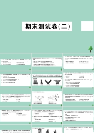 史上册 期末测试卷(二)作业课件 新人教版 课件