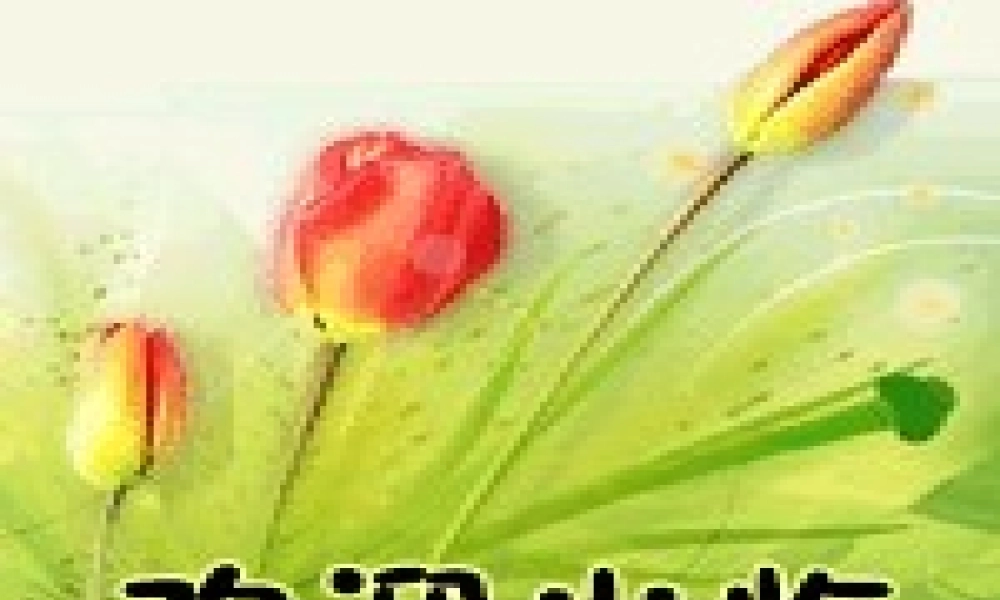 七年级语文下册 口语交际(做一回小记者)课件 苏教版 课件