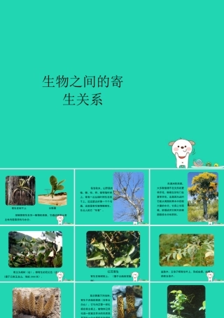 七年级生物上册 2.2.2(环境影响生物的生存)生物之间寄生关系实例素材 (新版)苏科版 素材