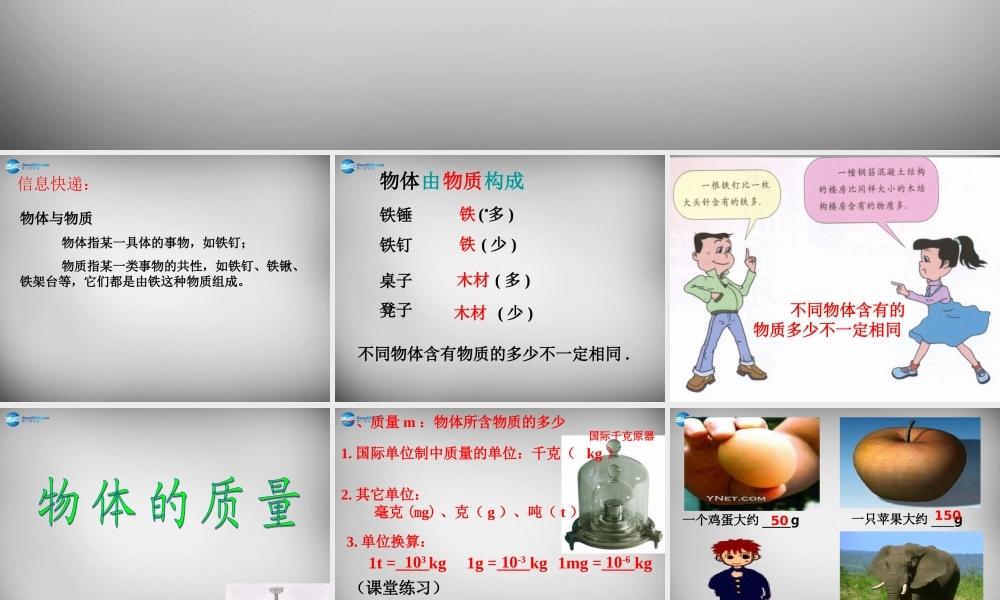 中学八年级物理下册 6.1 物体的质量课件 (新版)苏科版