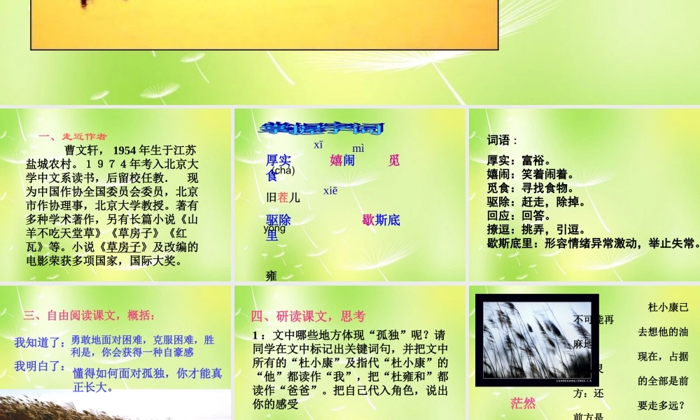 中学九年级语文上册 10 孤独之旅课件 新人教版 课件