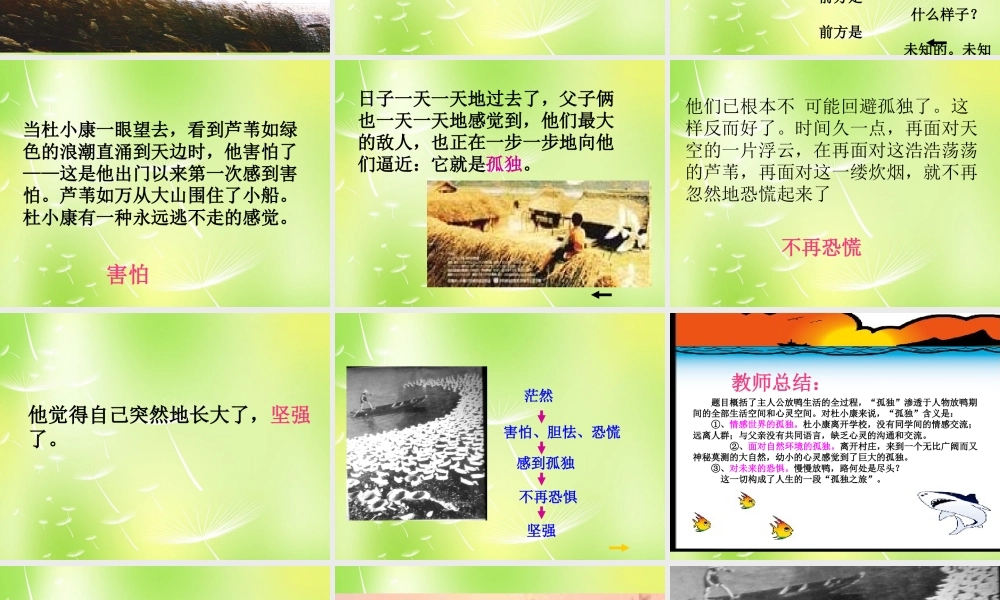 中学九年级语文上册 10 孤独之旅课件 新人教版 课件