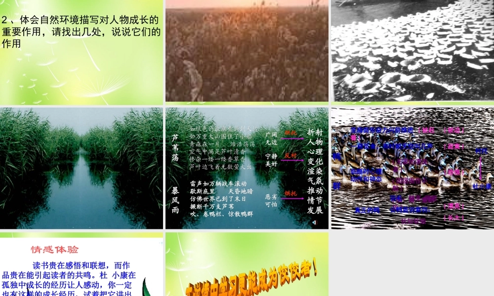 中学九年级语文上册 10 孤独之旅课件 新人教版 课件