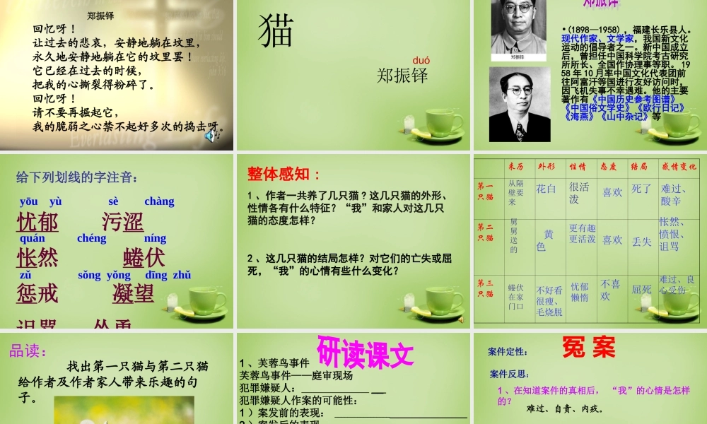 中学七年级语文下册 6.26(猫)课件 (新版)新人教版 课件