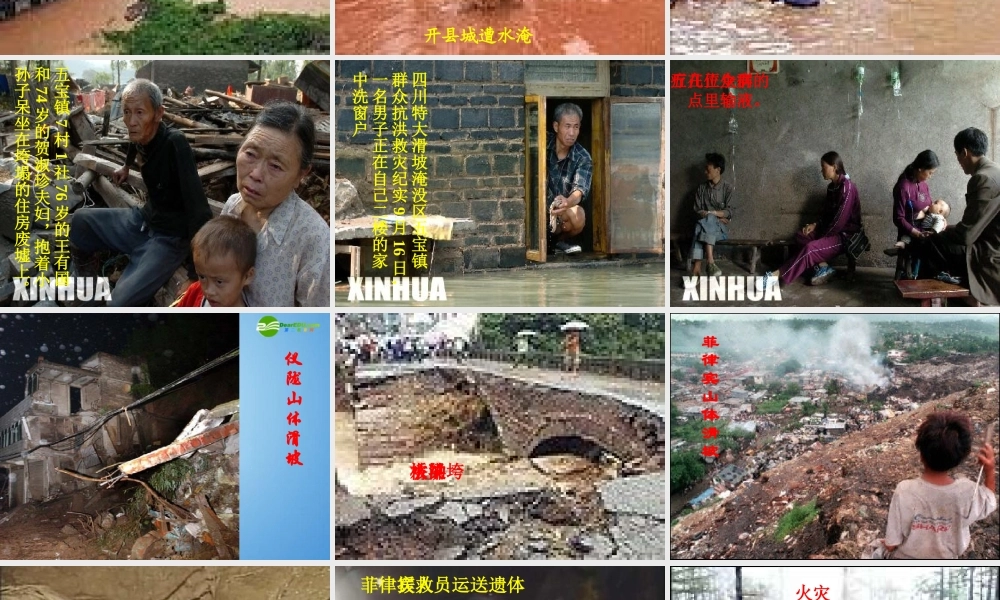 八年级语文下册 第15课(雨林的毁灭--世界性灾难)课件 北京课改版 课件