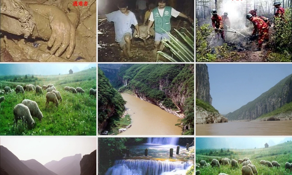 八年级语文下册 第15课(雨林的毁灭--世界性灾难)课件 北京课改版 课件