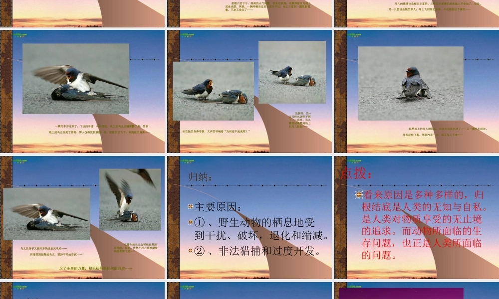 七年级语文上册(保护野生动物)课件 苏教版 课件