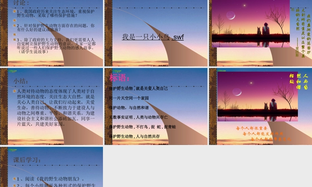 七年级语文上册(保护野生动物)课件 苏教版 课件