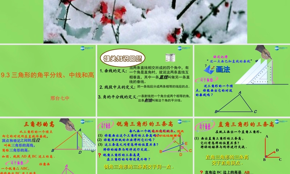 七年级数学下册 9.3(三角形的角平分线、中线和高)课件 (新版)冀教版 课件