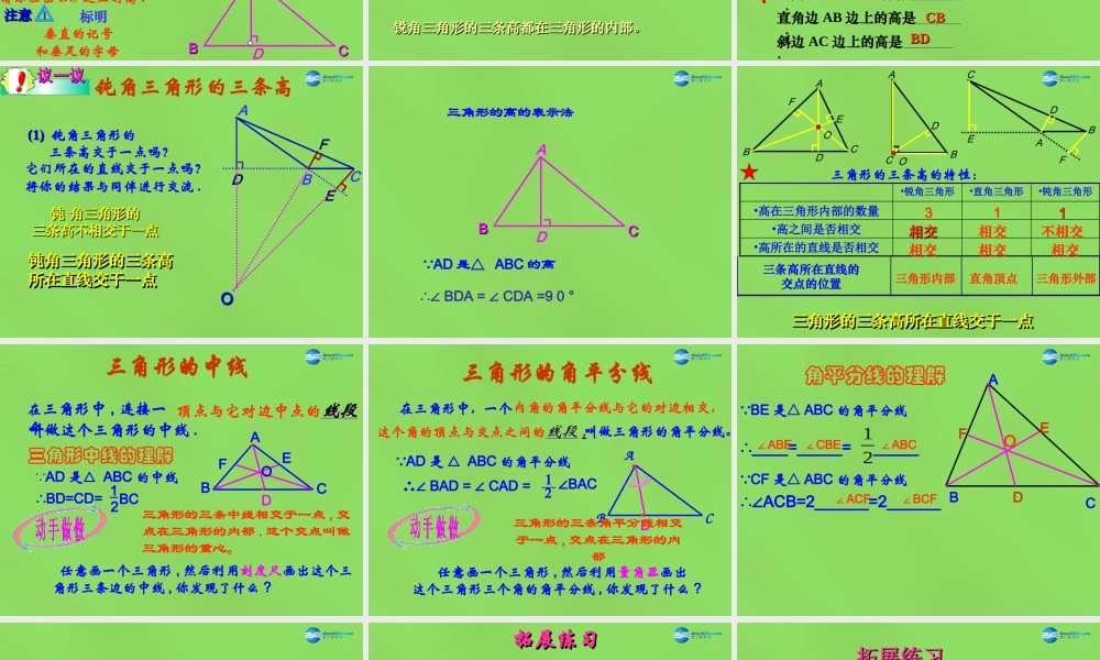 七年级数学下册 9.3(三角形的角平分线、中线和高)课件 (新版)冀教版 课件