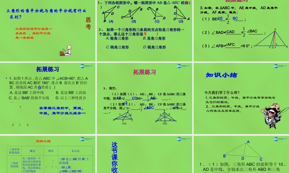 七年级数学下册 9.3(三角形的角平分线、中线和高)课件 (新版)冀教版 课件