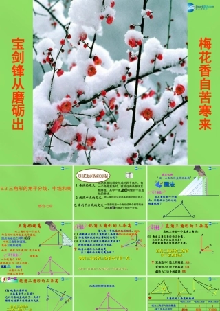 七年级数学下册 9.3(三角形的角平分线、中线和高)课件 (新版)冀教版 课件