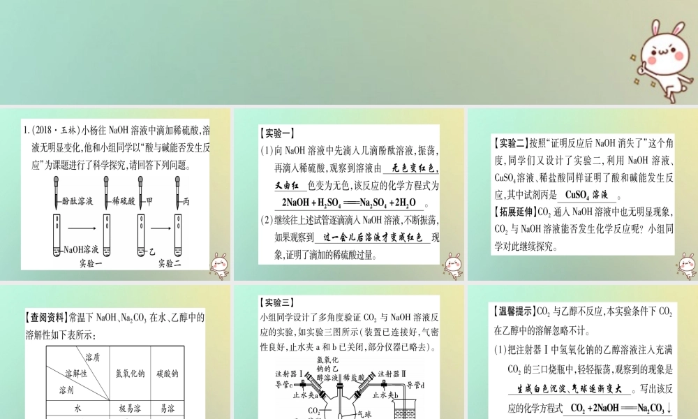 中考化学准点备考复习 重难专题(2)实验探究题课件 新人教版 课件
