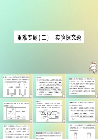 中考化学准点备考复习 重难专题(2)实验探究题课件 新人教版 课件